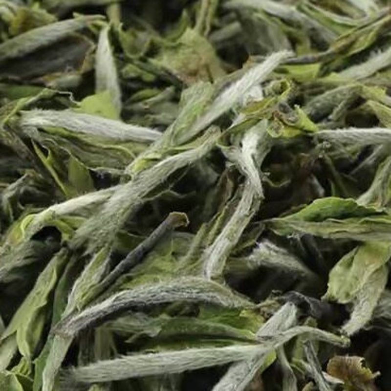 福鼎白牡丹 高山春茶 芽叶散装干茶 细节图2