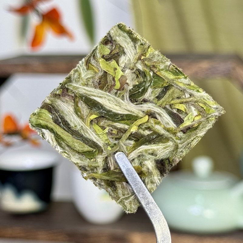 福鼎荒野白牡丹 头春采制 紧压小茶块